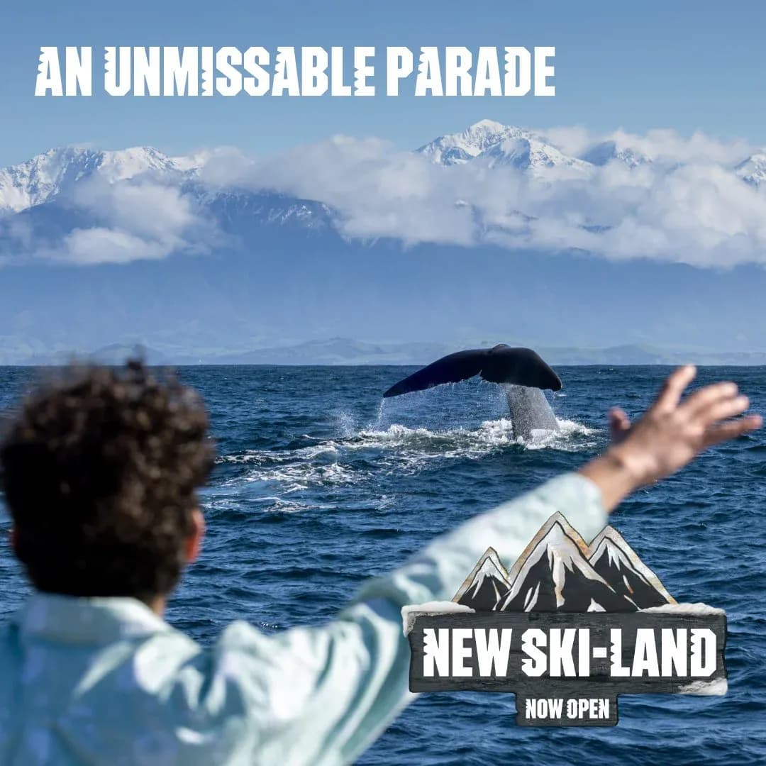 New Ski-Land social post four